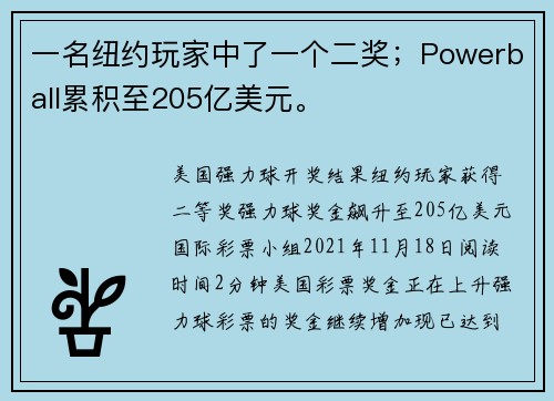 一名纽约玩家中了一个二奖；Powerball累积至205亿美元。